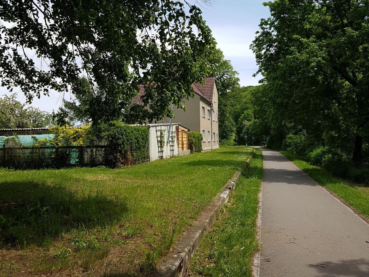 Ferienwohnung Am Thueringen Radweg Rauda Esterno foto