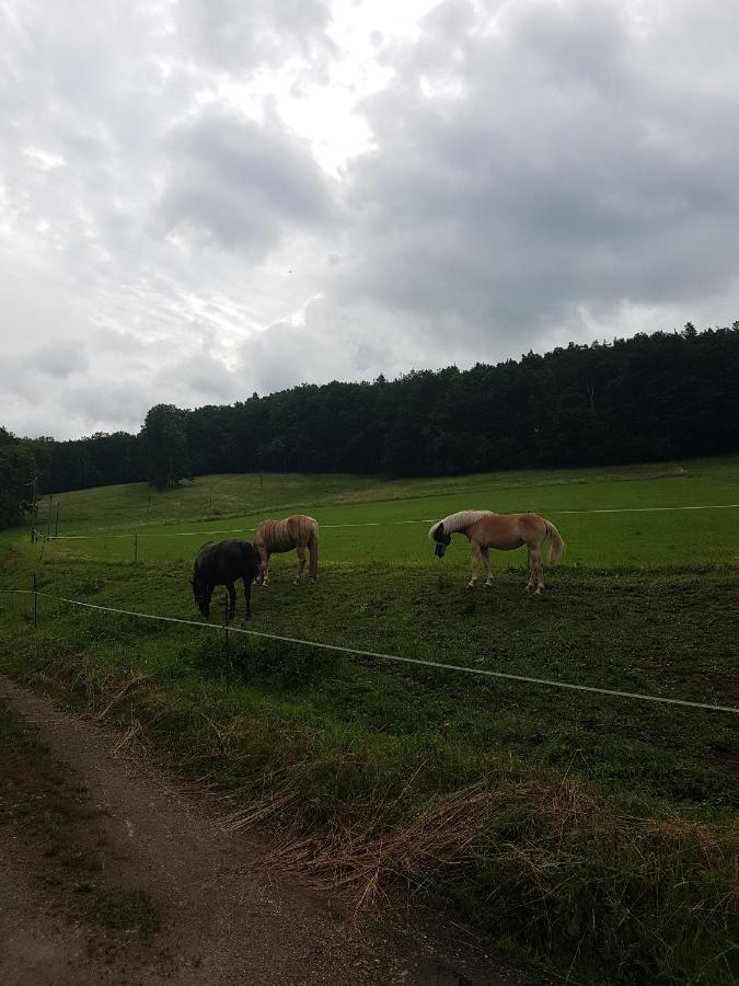 Ferienwohnung Am Thueringen Radweg Rauda Esterno foto