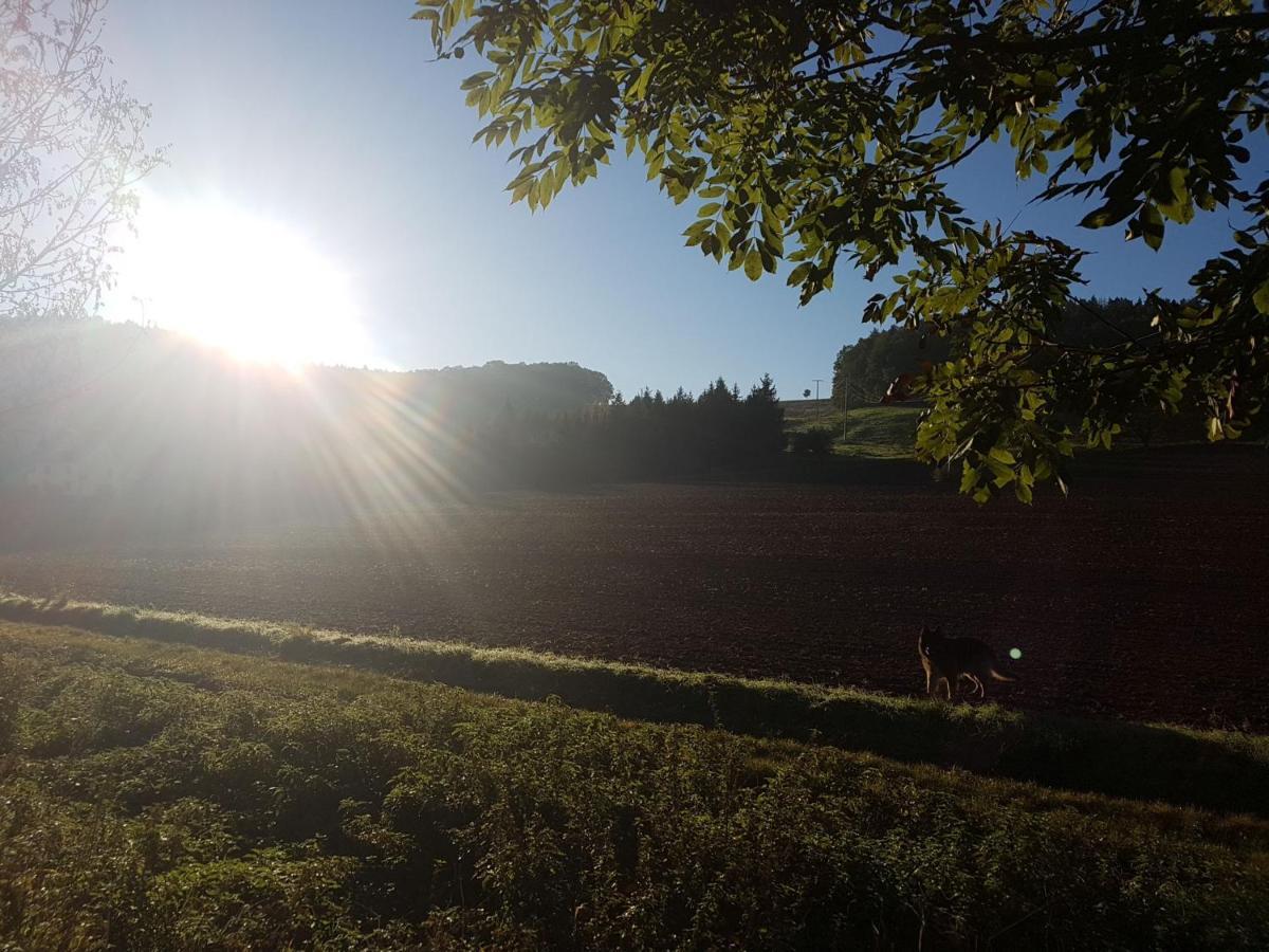 Ferienwohnung Am Thueringen Radweg Rauda Esterno foto